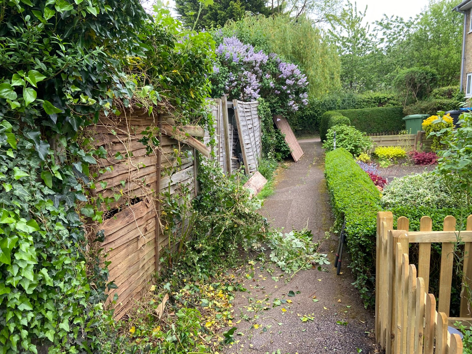 The Man That Can Work - Fencing